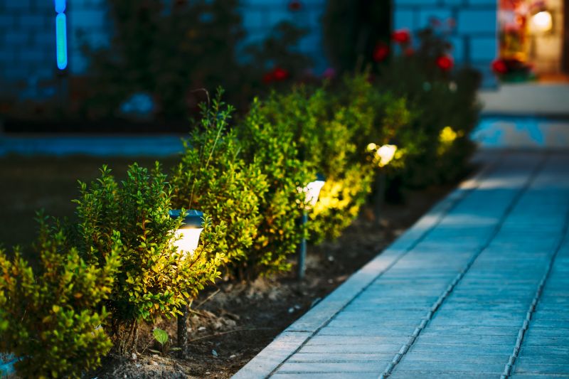 Landscape Lighting Installation in Denver, CO