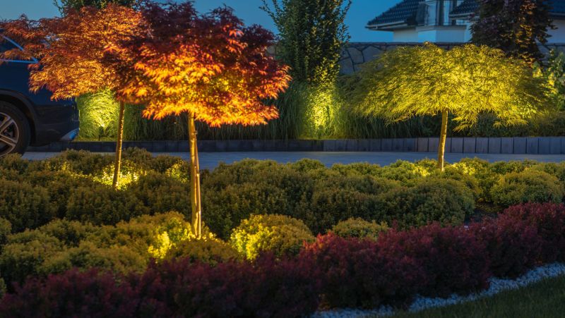 Professional Landscape Lighting Setup